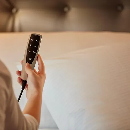 酒店 The Dufour By Schweizerhof